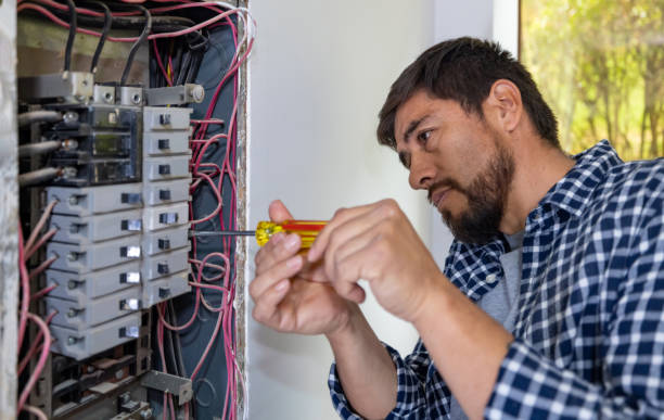 Best Electrical Panel Upgrades  in Dade City North, FL